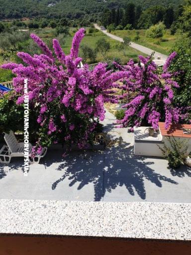 Appartements Lupić – foto 16
