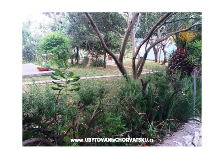 Appartements Supetarska Draga – foto 15