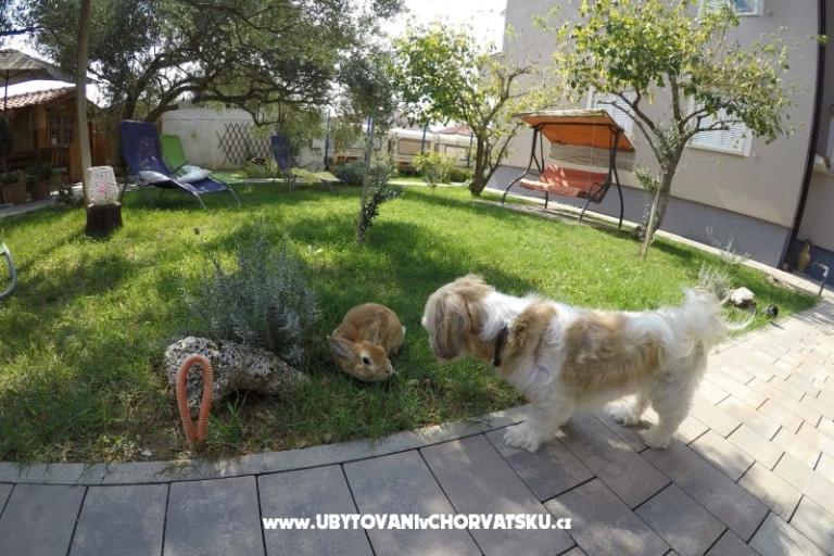 Ferienwohnungen- Villa Ilijic – foto 11