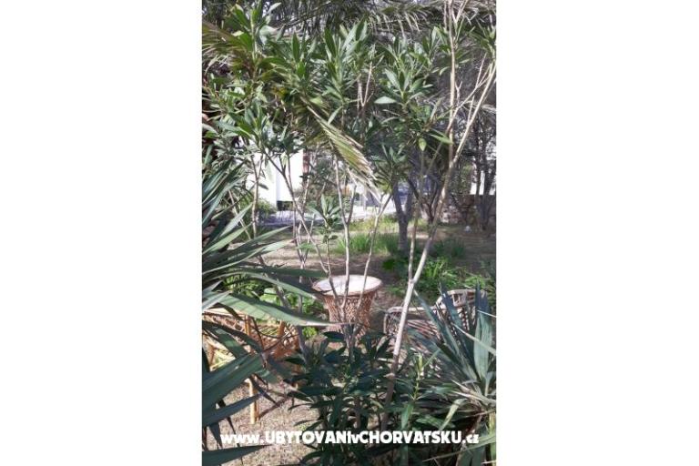 Zimmers Jadra – foto 6