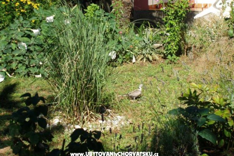 Ferienwohnungen Malvina – foto 10
