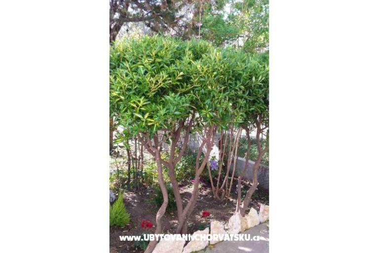 Arba – foto 7
