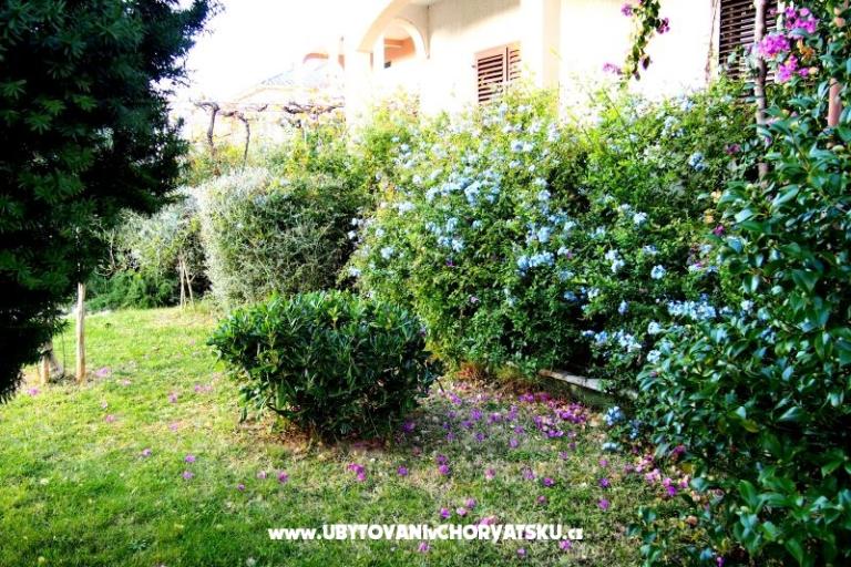 Haus Ivanić – foto 2