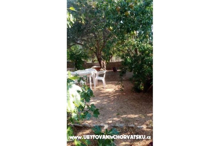 Studio Ferienwohnungen Vidas – foto 13