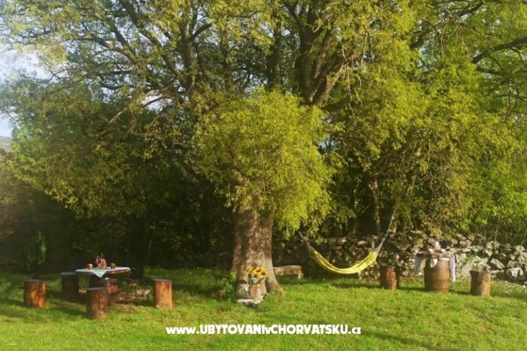 Traditional Istrian Haus ENI – foto 11