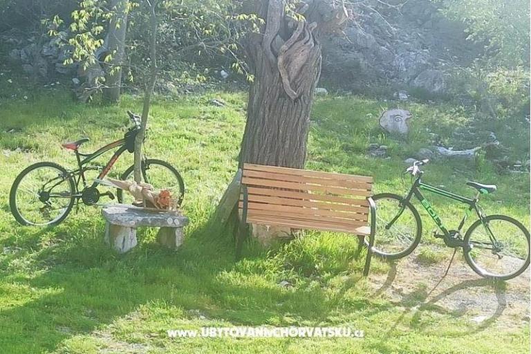 Traditional Istrian Haus ENI – foto 12