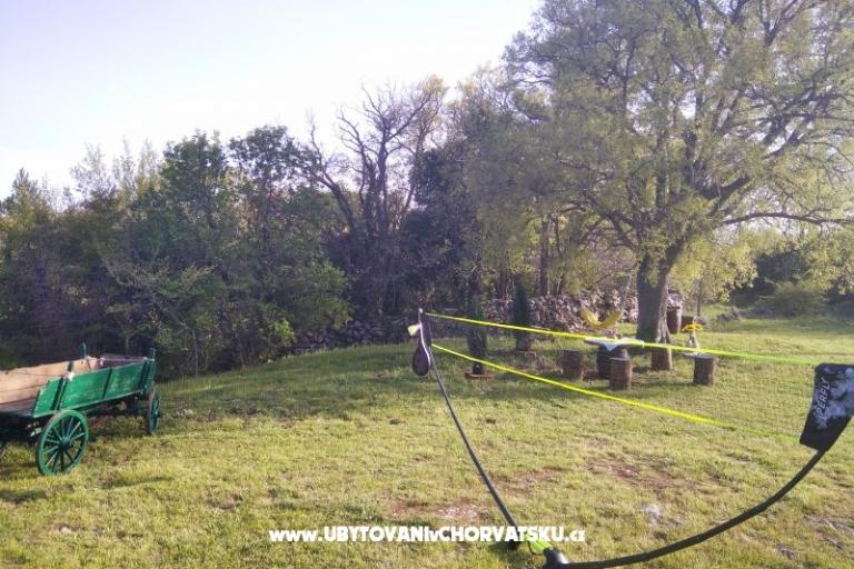 Traditional Istrian Haus ENI – foto 14