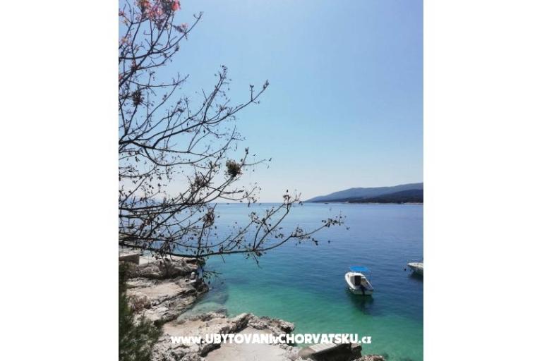 Traditional Istrian Haus ENI – foto 7