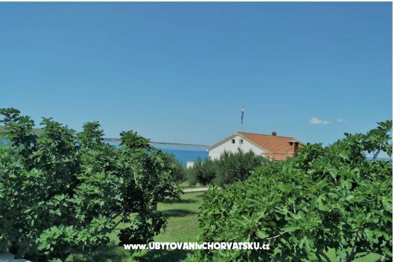 Apartment Miočić - Adam – foto 13