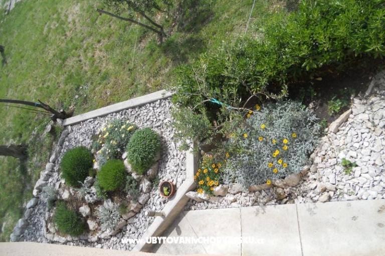 Appartements JIDRA – foto 12