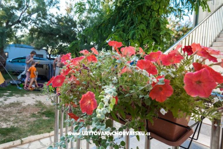 Ferienwohnungen Puntica – foto 2