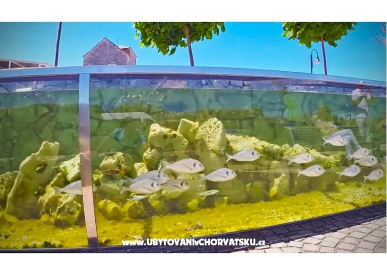 Apartment Amfora – foto 16