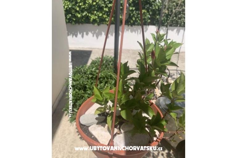 Apartment Odmor – foto 14