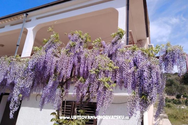 Apartment Mišić - OAZA MIRA – foto 21