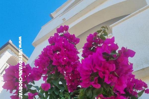 Appartements Ana – foto 9