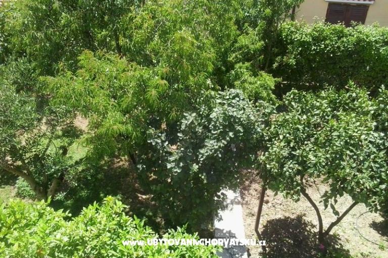 Appartements Baković – foto 10