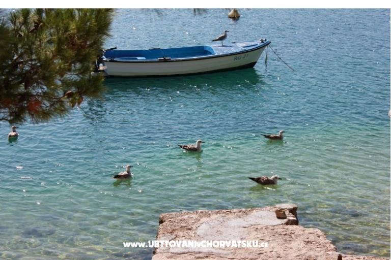 Appartements Leon – foto 15