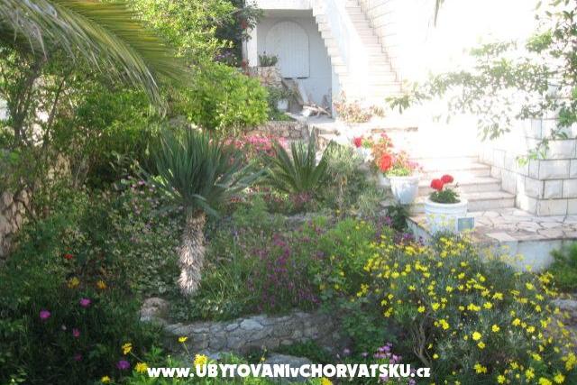 Villa Jozo Appartements – foto 5