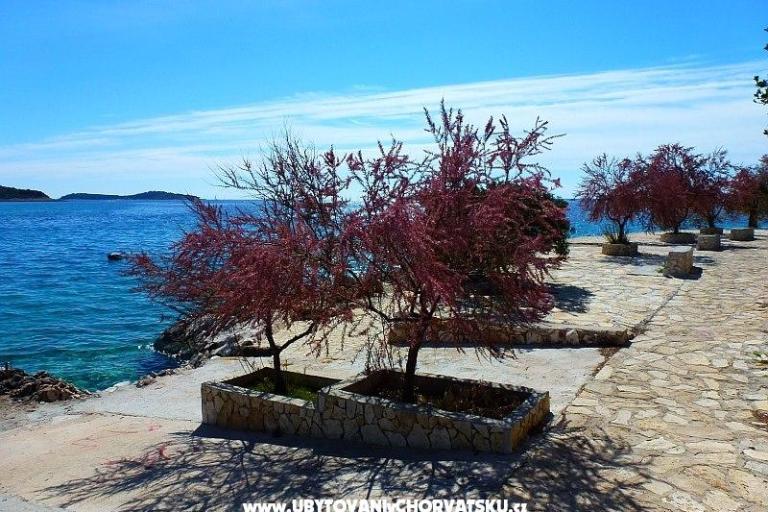 Ferienwohnungen Jurjević – foto 4