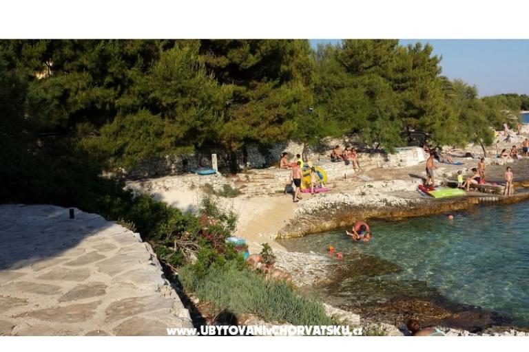 Ferienwohnungen Ursula – foto 11