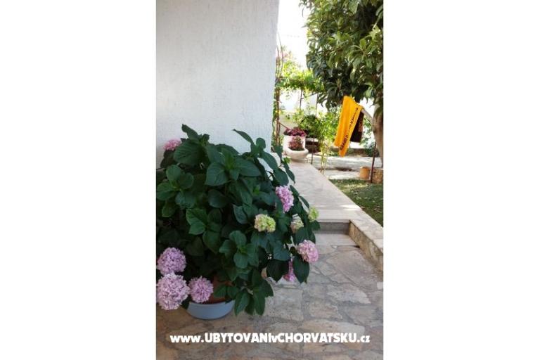 Ferienwohnungen Ursula – foto 14