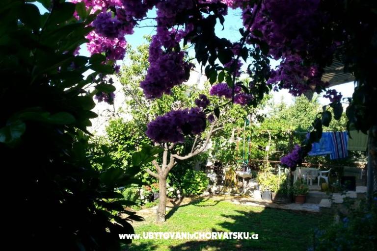 Ferienwohnungen Ursula – foto 6