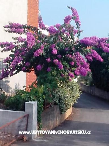 Matanovi dvori – foto 7