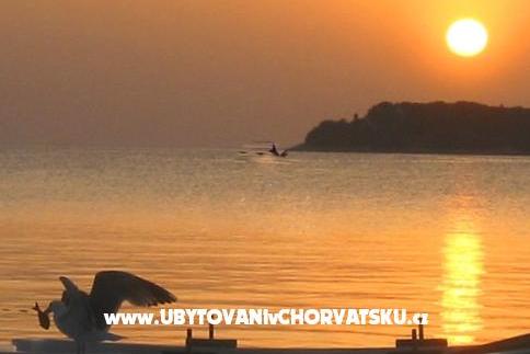 Maxi Apartment – foto 4