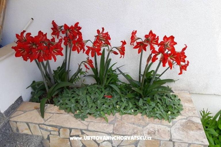 Appartements Mira Mark Ražanj Rogoznic – foto 13