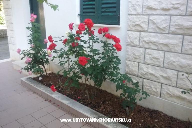 Santa Chiara Appartements – foto 12