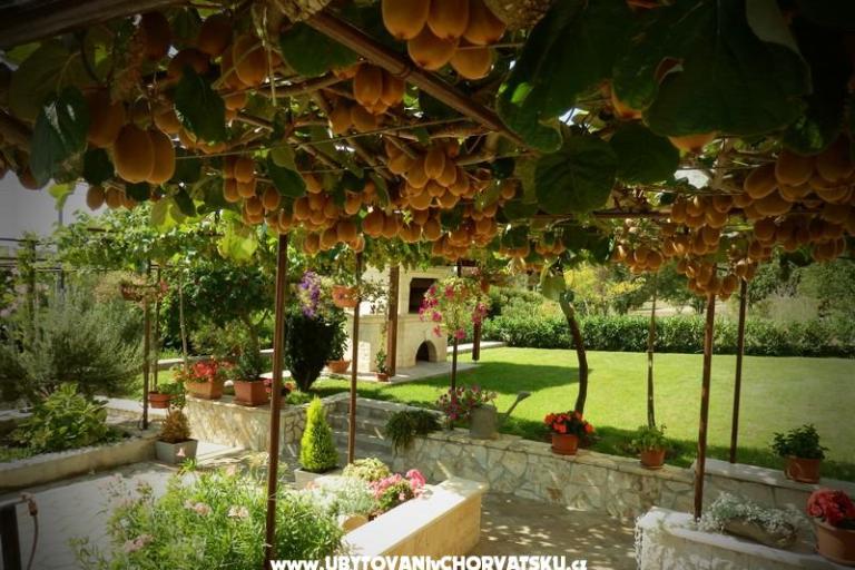 Appartements Fantazija – foto 12