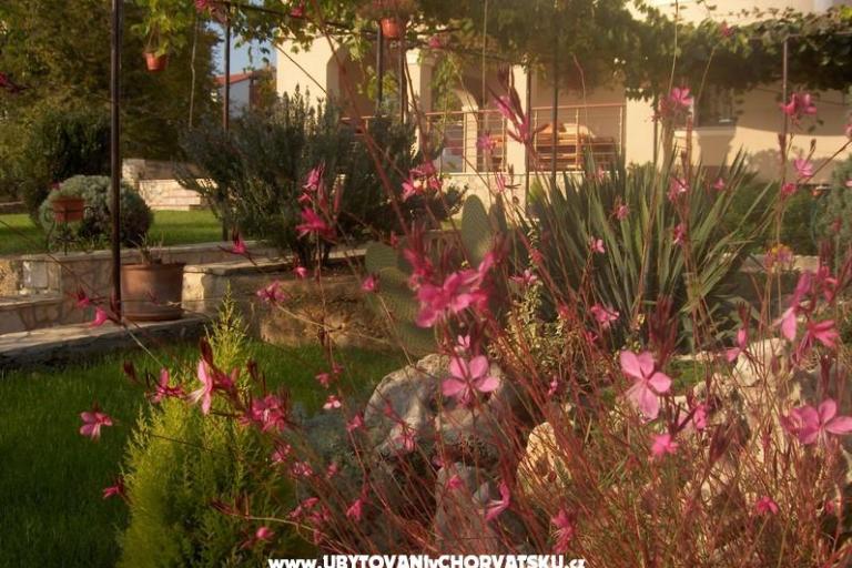 Appartements Fantazija – foto 14