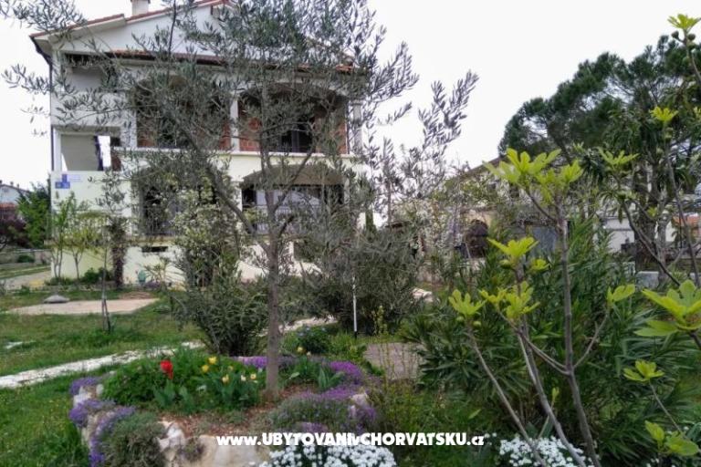 Appartements i Zimmers Markovic – foto 6