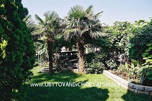 Ferienwohnungen BOS-KO – foto 3