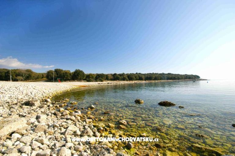 Ferienwohnungen Centar Bale – foto 7