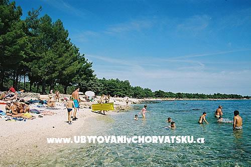 Family Haus Ivancevic – foto 5