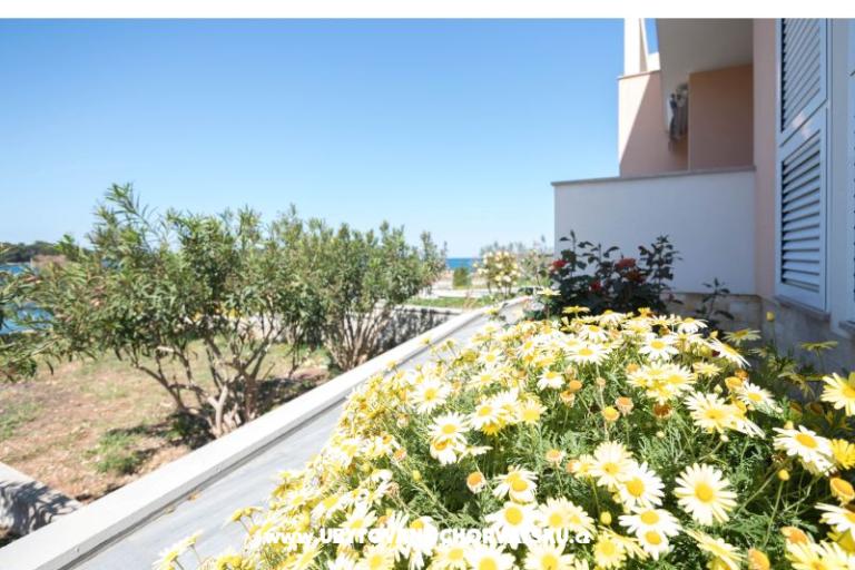 Appartements Carić – foto 6