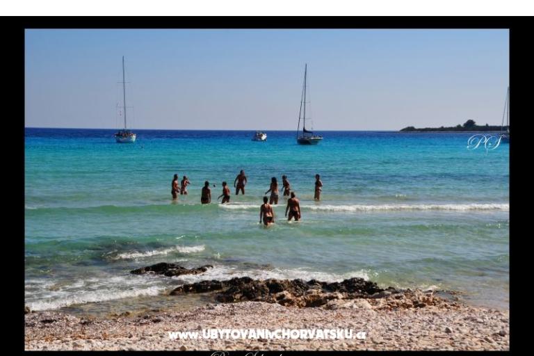 Ferienwohnungen  Zaglav Dugi otok  – foto 9