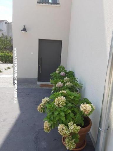 Apartment Era  – foto 15