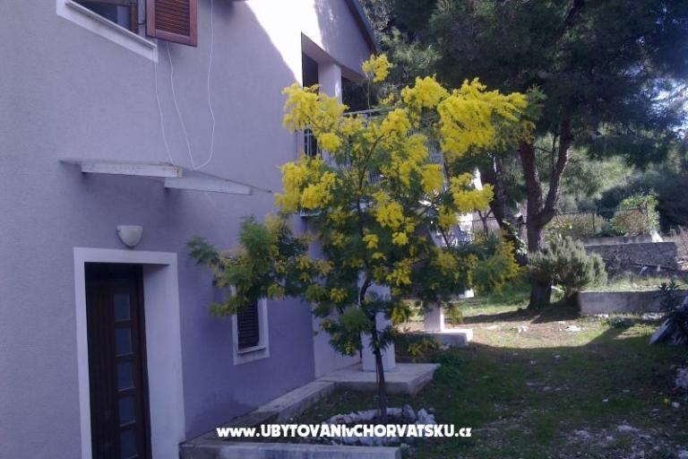Apartment Katarina – foto 8