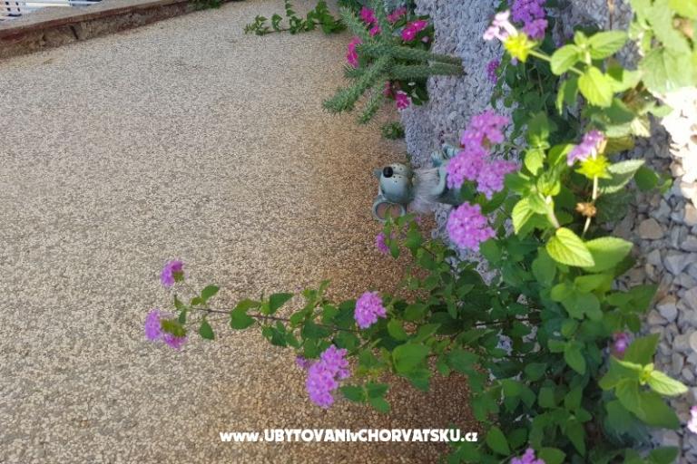 Apartment Mikelin – foto 5