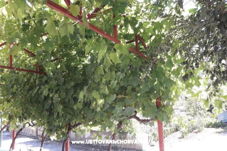 Apartment Stara kuća  – foto 3