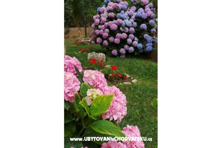 Apartment Tomić – foto 9