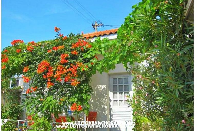 Appartements Antić – foto 3