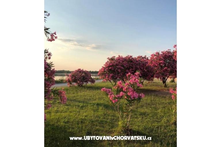 Ferienwohnungen Tin&amp;Tin – foto 15