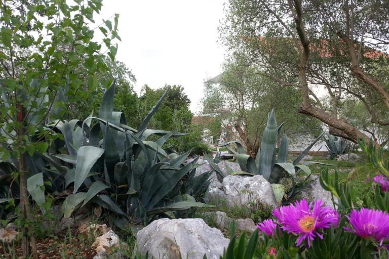 Ferienwohnungen Vlado – foto 4