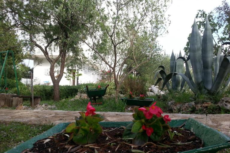 Ferienwohnungen Vlado – foto 7