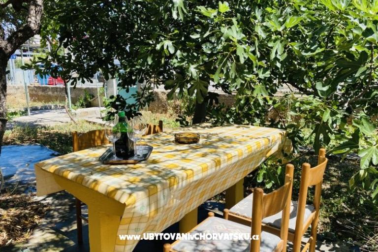 Beach Haus – foto 7