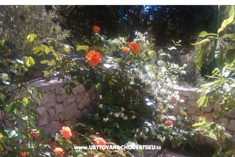 Lavanda Apartment – foto 17