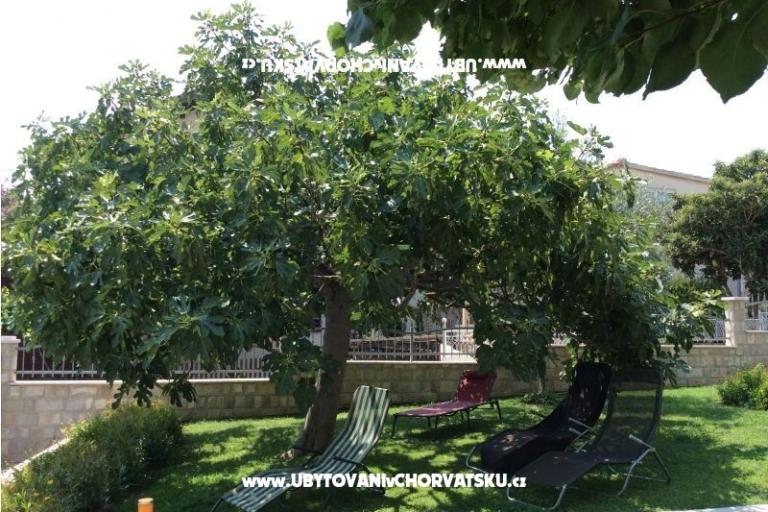 Villa Cilic  – foto 12